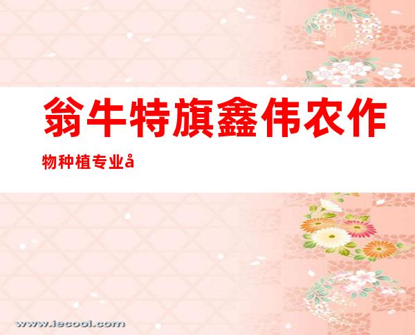 翁牛特旗鑫伟农作物种植专业合作社